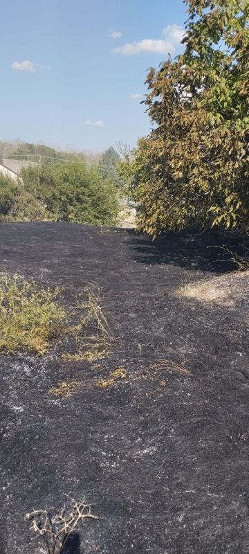 Юноши и пожилые люди совместными усилиями потушили пожар в пгт Любимовка Юноши и пожилые люди совместными усилиями потушили пожар в пгт Любимовка