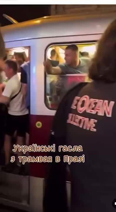   :   ,     