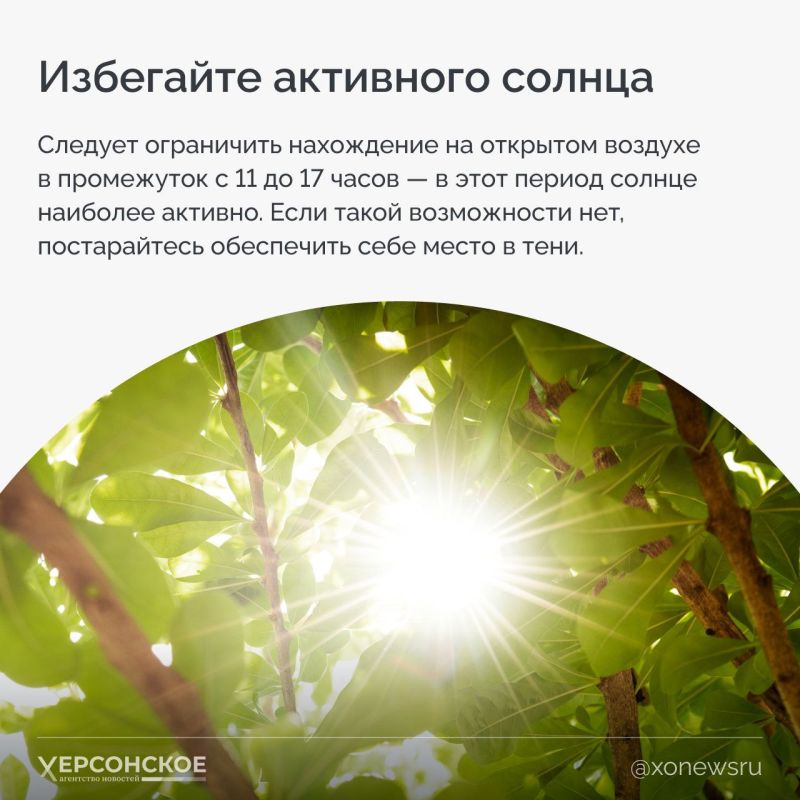 Жара, жара, жареное солнце больших городов Жара, жара, жареное солнце больших городов