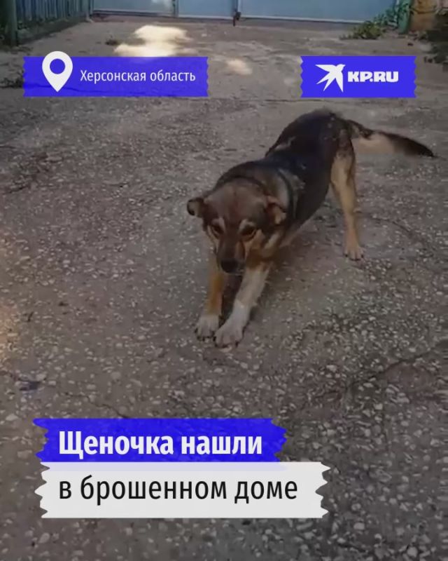   ,   :          