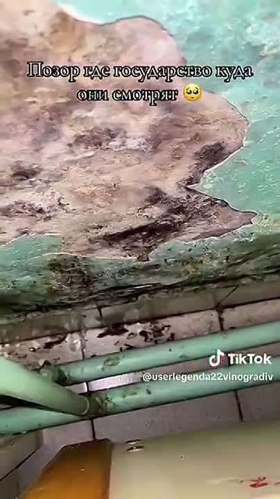   :       