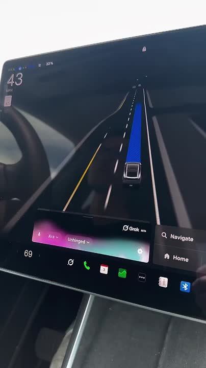 Tesla        Grok   -,        