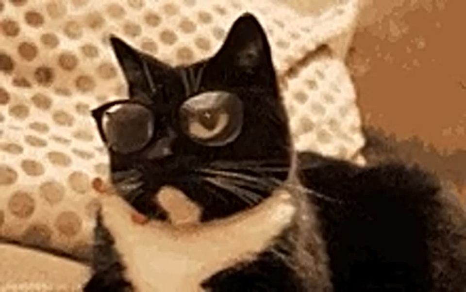  -   !    ,        ?        ?    