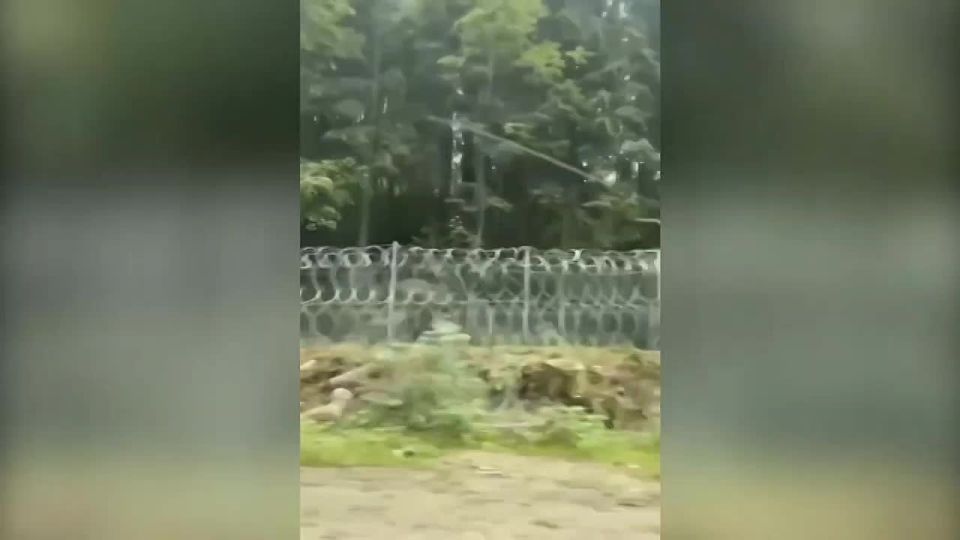       ,     녻