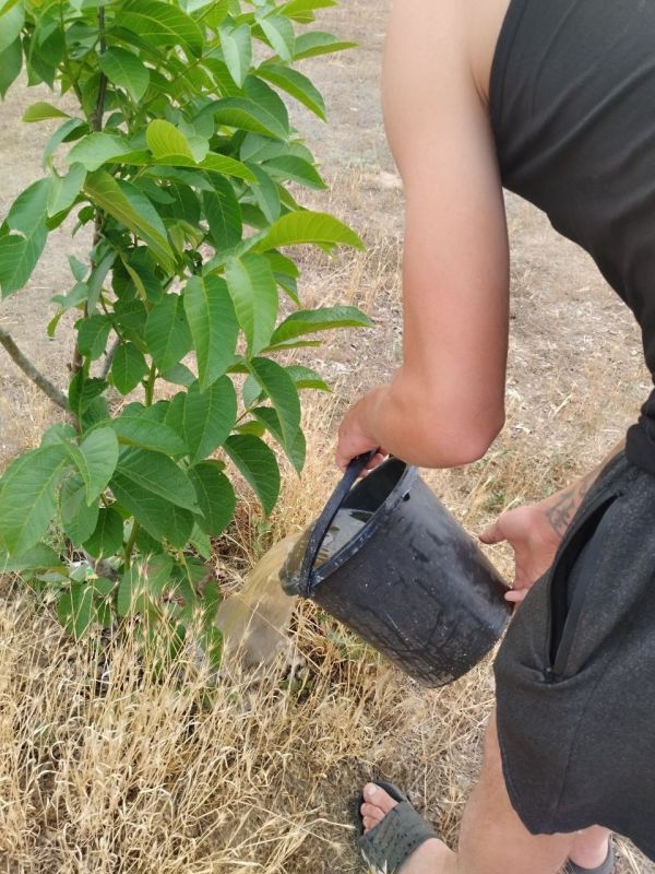 ������� ���������� ������� ��� ��������� �� ����� ������