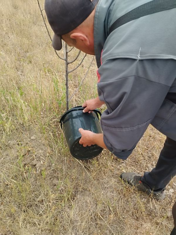 ������� ���������� ������� ��� ��������� �� ����� ������