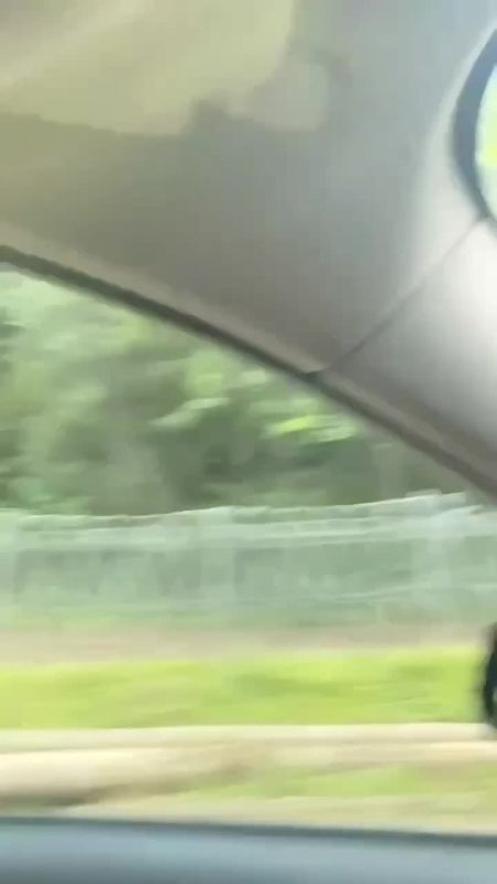    :  ,    