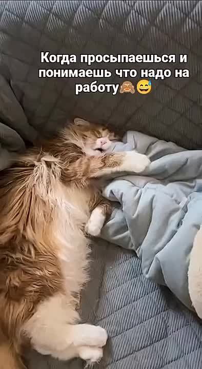  :   .   