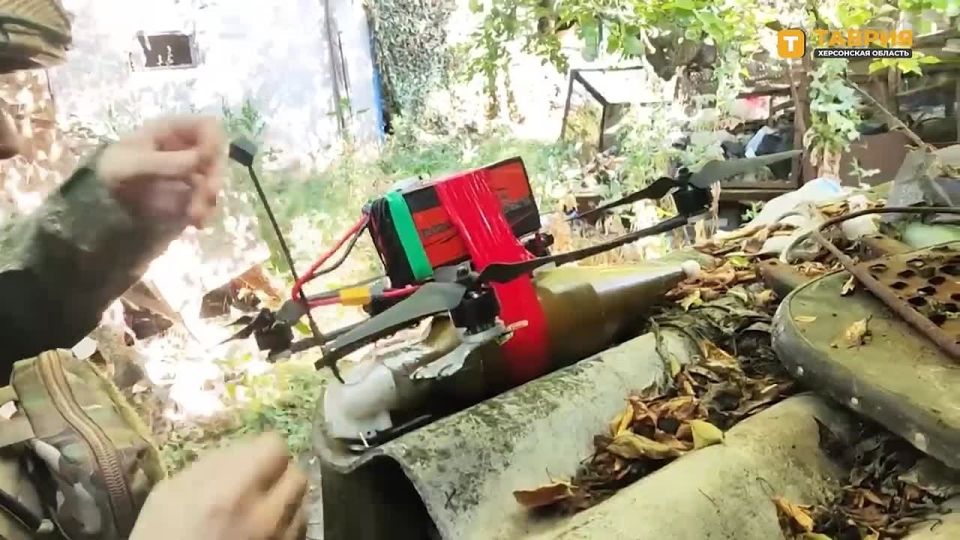  FPV-   &quot;&quot;      