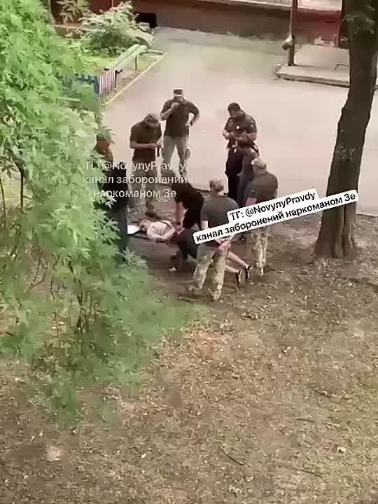  ..... -  
