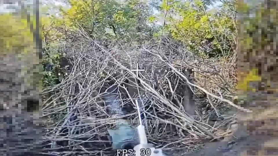   FPV  .             