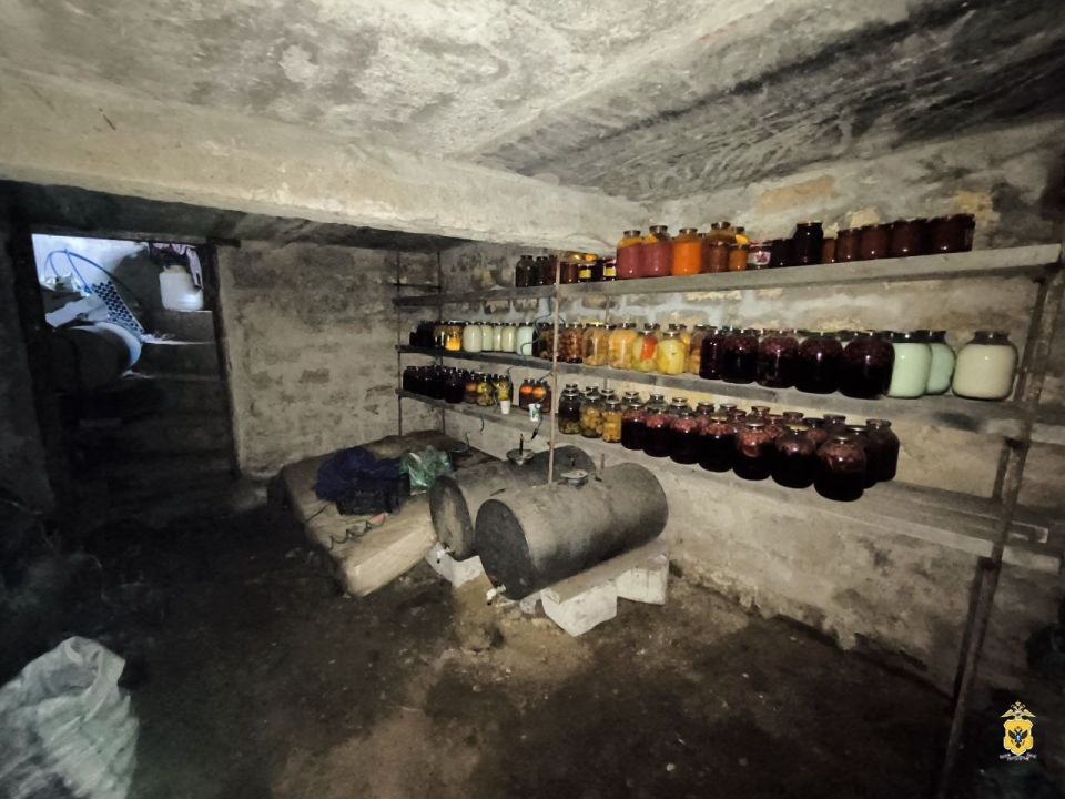 В Алешкинском округе полицейские задержали подозреваемого в краже