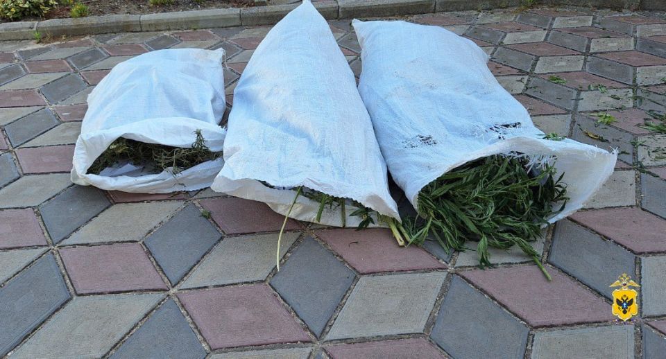 В Херсонской области полицейские изъяли почти 3 килограмма растительного наркотика у местного жителя В Херсонской области полицейские изъяли почти 3 килограмма растительного наркотика у местного жителя