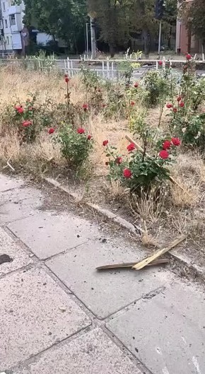 .       - 