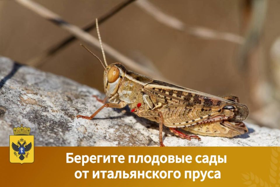 Сигнализационное сообщение №10 от Министерства сельского хозяйства Российской Федерации