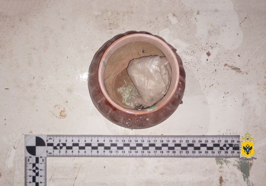 У жителя Ивановского округа полицейские изъяли партию марихуаны У жителя Ивановского округа полицейские изъяли партию марихуаны