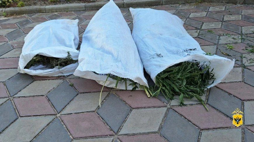 В Херсонской области полицейские изъяли почти 3 килограмма растительного наркотика у местного жителя В Херсонской области полицейские изъяли почти 3 килограмма растительного наркотика у местного жителя