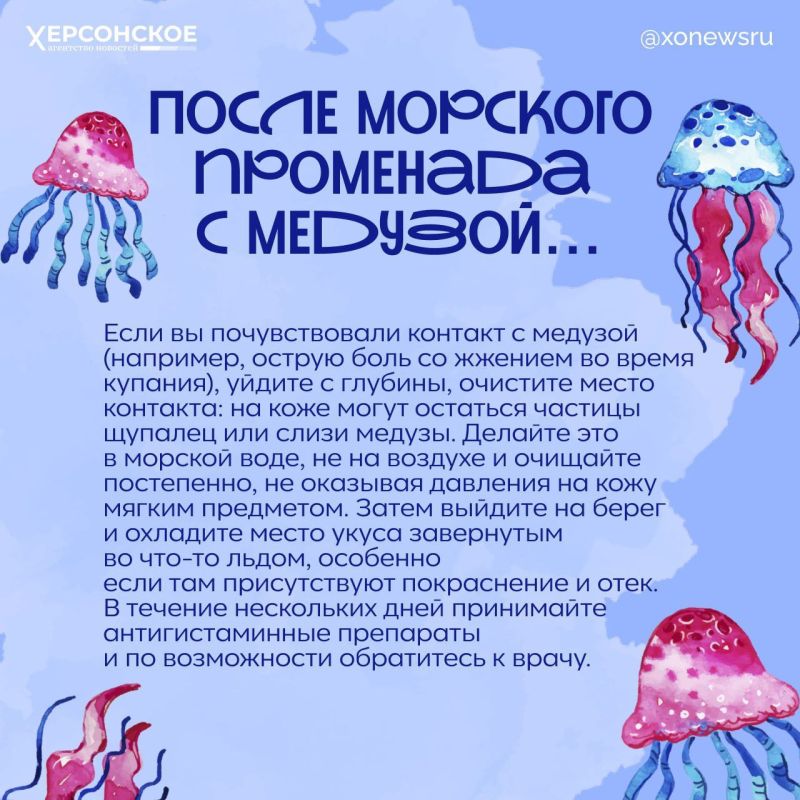 Если пеной — то только морской: чего не стоит делать после контакта с медузой Если пеной — то только морской: чего не стоит делать после контакта с медузой