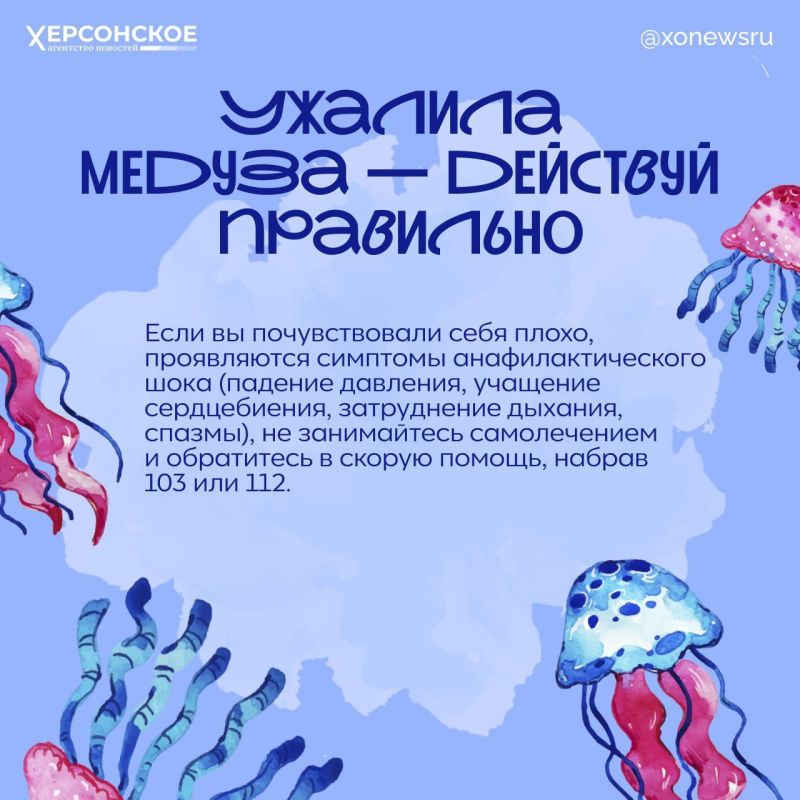Если пеной — то только морской: чего не стоит делать после контакта с медузой Если пеной — то только морской: чего не стоит делать после контакта с медузой