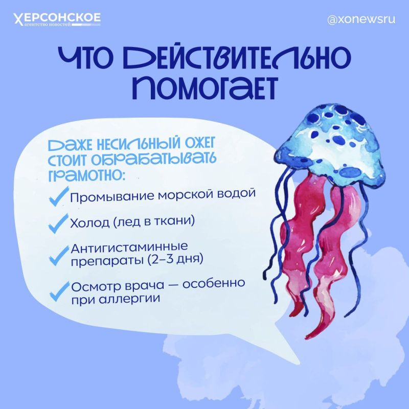 Если пеной — то только морской: чего не стоит делать после контакта с медузой Если пеной — то только морской: чего не стоит делать после контакта с медузой