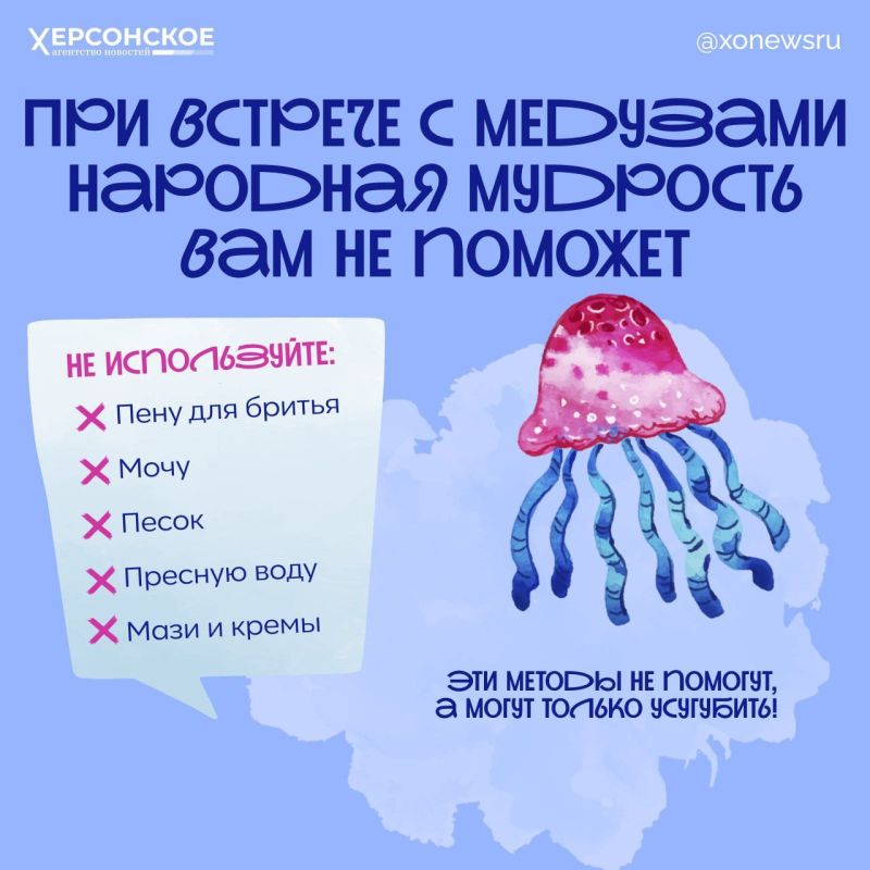 Если пеной — то только морской: чего не стоит делать после контакта с медузой Если пеной — то только морской: чего не стоит делать после контакта с медузой