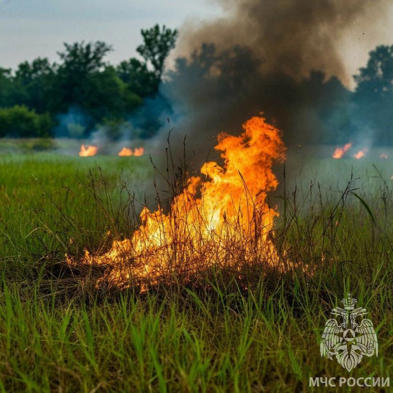 Ландшафтные пожары: причины и последствия