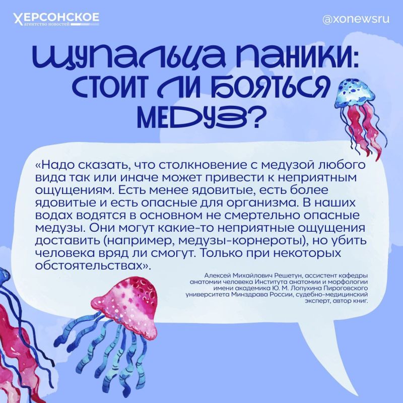 Если пеной — то только морской: чего не стоит делать после контакта с медузой Если пеной — то только морской: чего не стоит делать после контакта с медузой