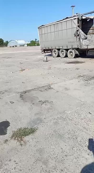     :       