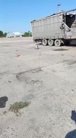     :       