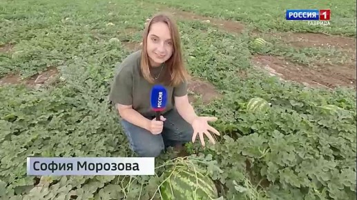  :         