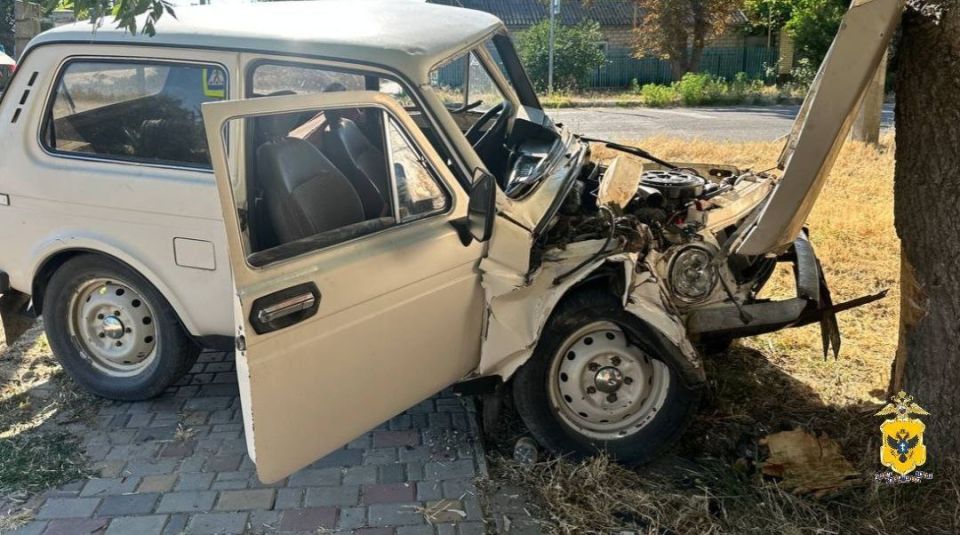 В Скадовском округе сотрудники полиции устанавливают обстоятельства ДТП с пострадавшими В Скадовском округе сотрудники полиции устанавливают обстоятельства ДТП с пострадавшими