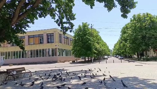   !.       ,  ,     ,        