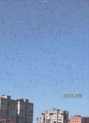     :
