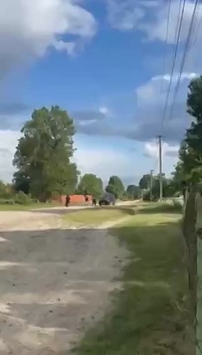   :  ..    