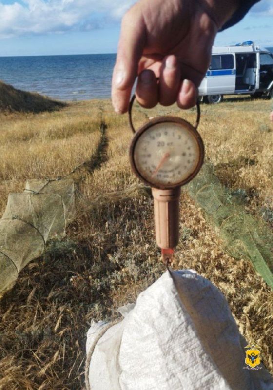 Четверо жителей Херсонской области уличены в незаконной добыче креветок более чем на 1 млн рублей Четверо жителей Херсонской области уличены в незаконной добыче креветок более чем на 1 млн рублей