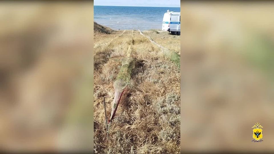 Четверо жителей Херсонской области уличены в незаконной добыче креветок более чем на 1 млн рублей