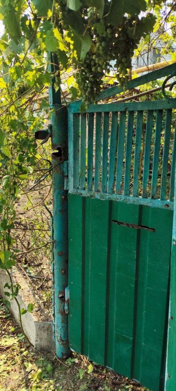 В результате обстрела ВСУ поврежден частный дом в Новой Каховке, жертв и пострадавших нет, сообщили в Новокаховской администрации В результате обстрела ВСУ поврежден частный дом в Новой Каховке, жертв и пострадавших нет, сообщили в Новокаховской администрации