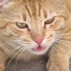    !