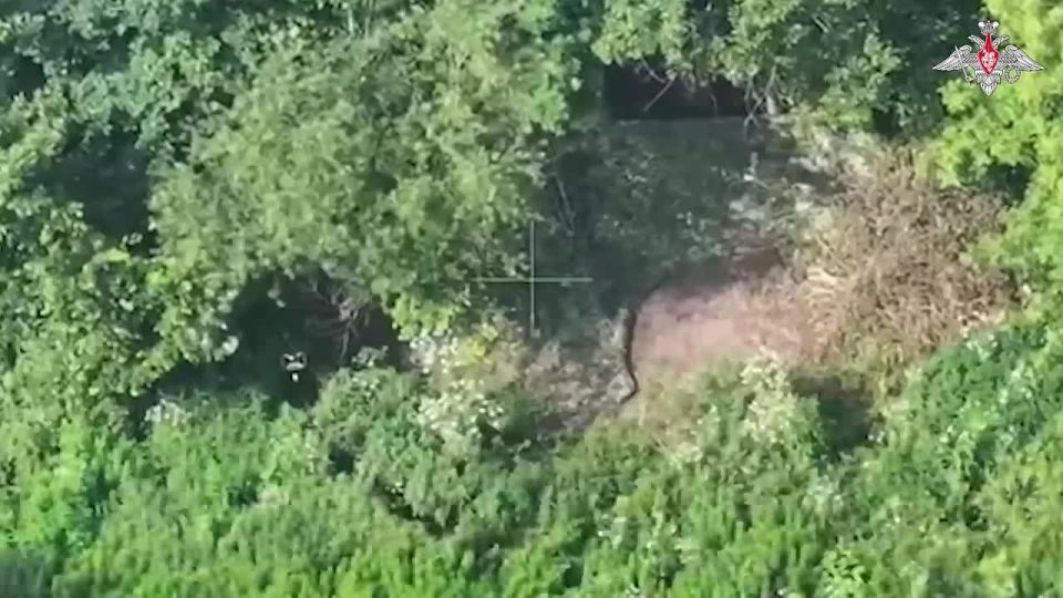 Минобороны России: Точные удары беспилотников срывают планы противника