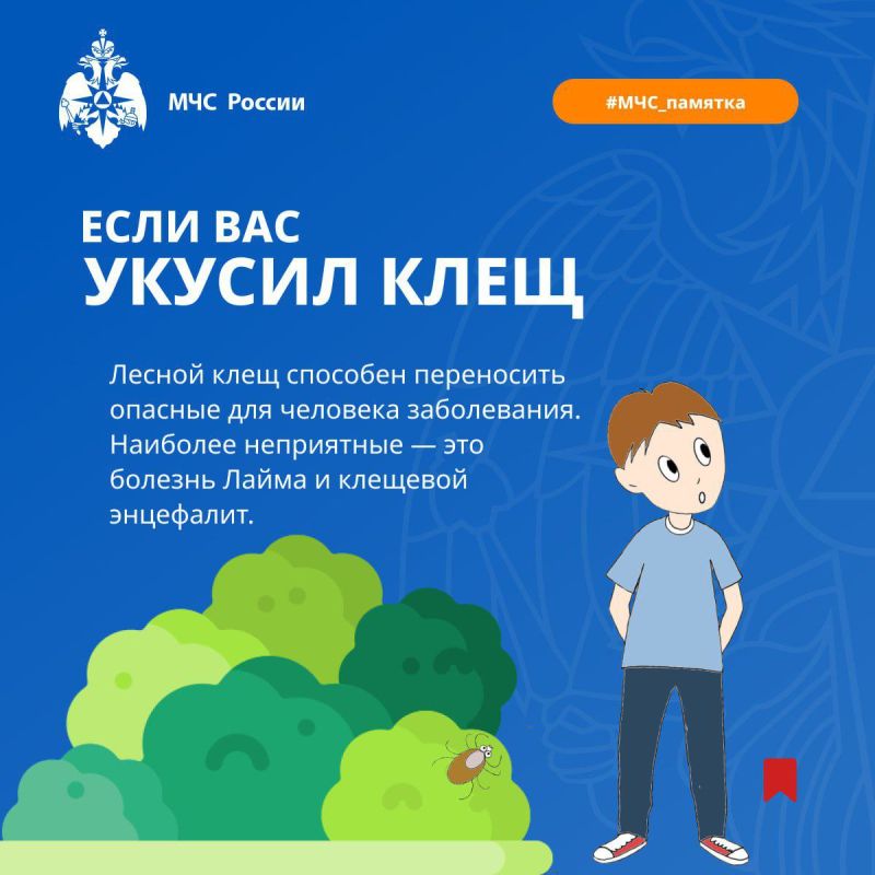 Берегись клещей!. В 2024 году на территории региона было зарегистрировано 37 случаев укусов клещами, что составляет 12,3 случая на 100 тысяч населения