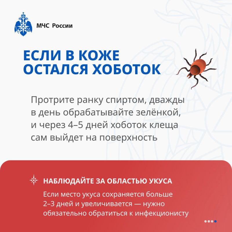 Берегись клещей!. В 2024 году на территории региона было зарегистрировано 37 случаев укусов клещами, что составляет 12,3 случая на 100 тысяч населения Берегись клещей!. В 2024 году на территории региона было зарегистрировано 37 случаев укусов клещами, что составляет 12,3 случая на 100 тысяч населения