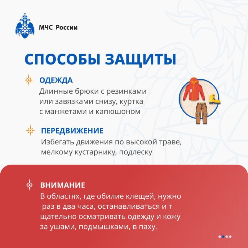 Берегись клещей!. В 2024 году на территории региона было зарегистрировано 37 случаев укусов клещами, что составляет 12,3 случая на 100 тысяч населения Берегись клещей!. В 2024 году на территории региона было зарегистрировано 37 случаев укусов клещами, что составляет 12,3 случая на 100 тысяч населения