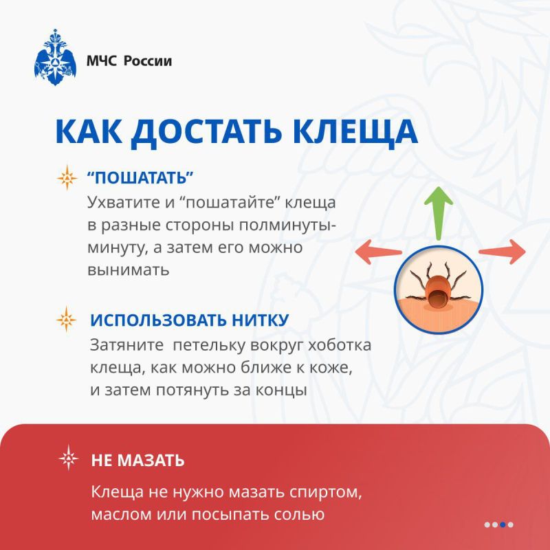 Берегись клещей!. В 2024 году на территории региона было зарегистрировано 37 случаев укусов клещами, что составляет 12,3 случая на 100 тысяч населения Берегись клещей!. В 2024 году на территории региона было зарегистрировано 37 случаев укусов клещами, что составляет 12,3 случая на 100 тысяч населения