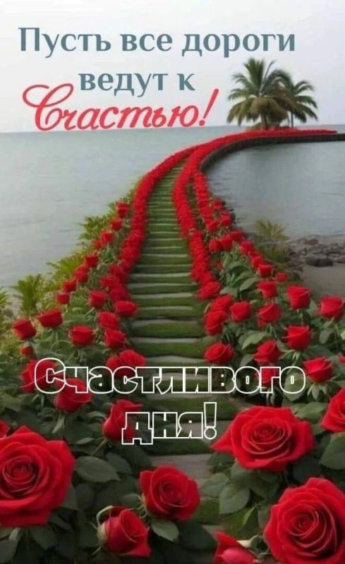 РКН — о слухах про блокировку WhatsApp: доверяйте только официальным данным РКН — о слухах про блокировку WhatsApp: доверяйте только официальным данным