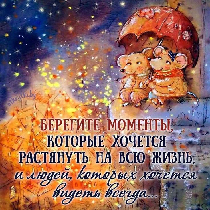 РКН — о слухах про блокировку WhatsApp: доверяйте только официальным данным РКН — о слухах про блокировку WhatsApp: доверяйте только официальным данным