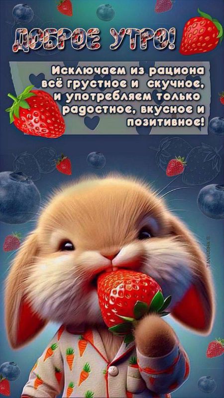 РКН — о слухах про блокировку WhatsApp: доверяйте только официальным данным РКН — о слухах про блокировку WhatsApp: доверяйте только официальным данным