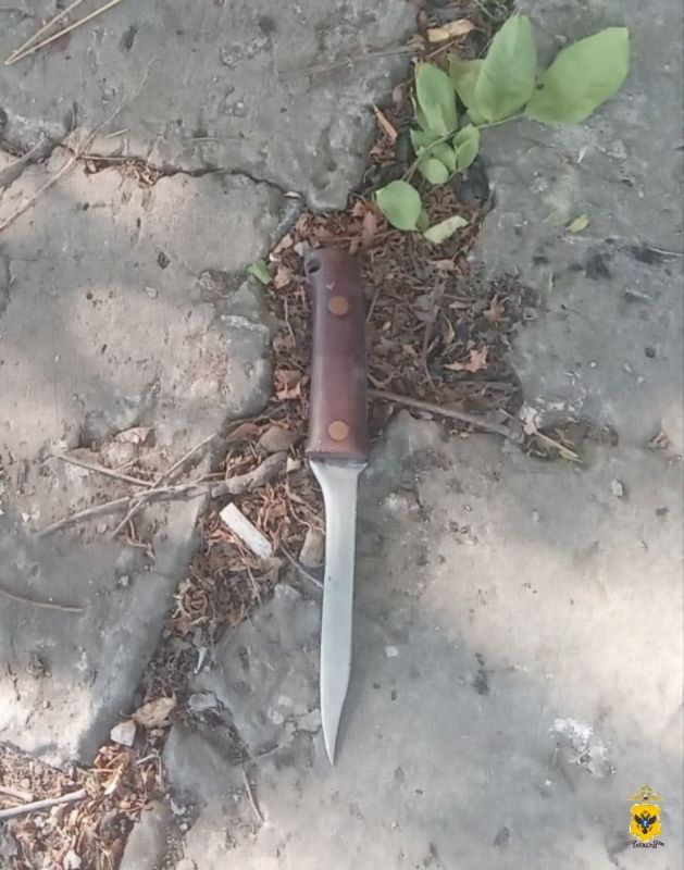 В Чаплынском округе полицейские задержали подозреваемого в умышленном причинении вреда здоровью и угрозе убийством