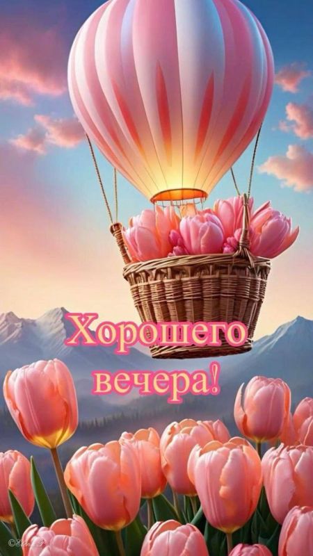 РКН — о слухах про блокировку WhatsApp: доверяйте только официальным данным РКН — о слухах про блокировку WhatsApp: доверяйте только официальным данным