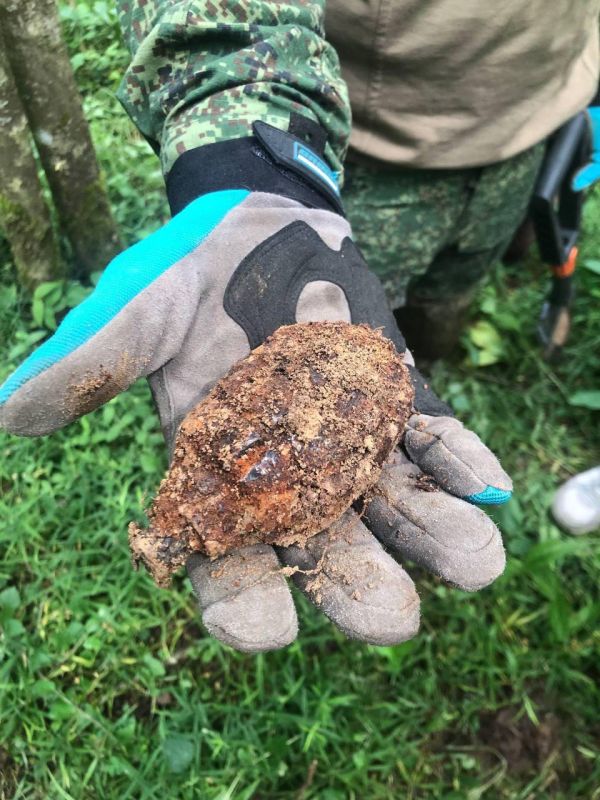 Студенты ХГПУ представили Херсонскую область на смене "Вахта памяти Студенты ХГПУ представили Херсонскую область на смене "Вахта памяти