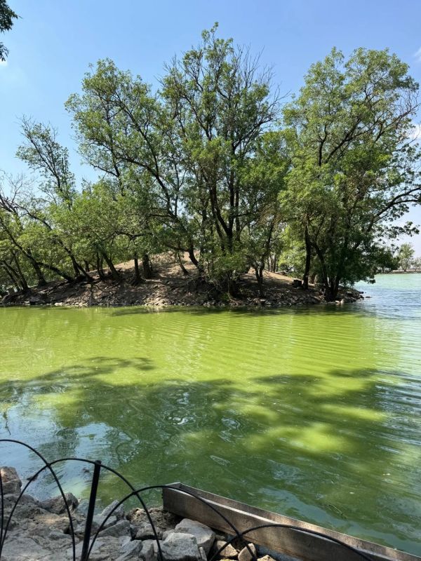 ����� ��������: ������� ������� �������� � �������-����